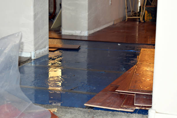 Professional Water Damage Restoration technician working in Carthage, TX